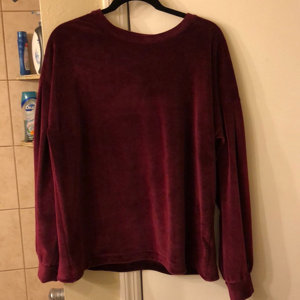 velvet sweatshirt